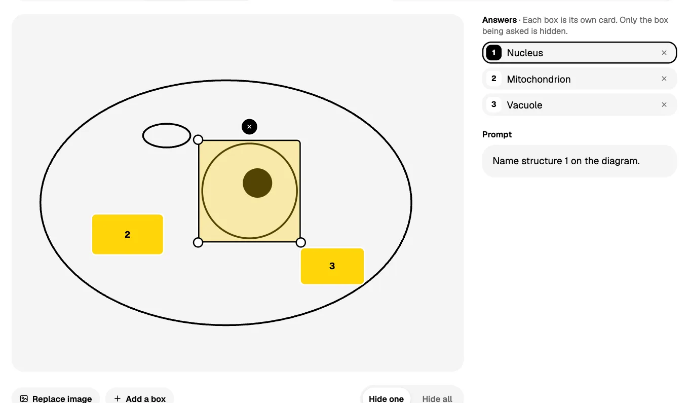 A picture card in Lucida: boxes cover the labels of a picture, and each box is its own card